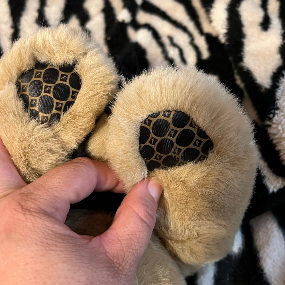 Fossil teddy bear - Picture 5 of 5